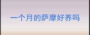 一个月的萨摩好养吗