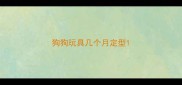 狗狗玩具几个月定型