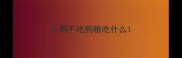 小狗不吃狗粮吃什么