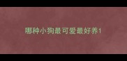 哪种小狗最可爱最好养