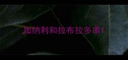 加纳利和拉布拉多串