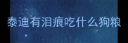 泰迪有泪痕吃什么狗粮