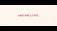 拉布拉多是怎么串的