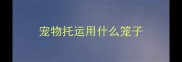 宠物托运用什么笼子
