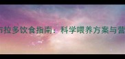 幼年拉布拉多饮食指南科学喂养方案与营养误区