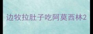 边牧拉肚子吃阿莫西林