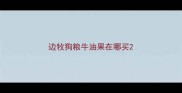 边牧狗粮牛油果在哪买