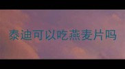 泰迪可以吃燕麦片吗