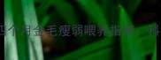 幼犬消瘦怎么办四个月金毛瘦弱喂养指南科学应对与预防措施