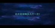 幼犬疫苗隔多久打一次