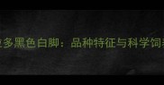 拉布拉多黑色白脚品种特征与科学饲养指南