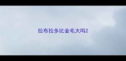 拉布拉多比金毛大吗