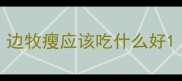 边牧瘦应该吃什么好