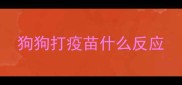 狗狗打疫苗什么反应