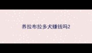 养拉布拉多犬赚钱吗