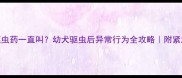 泰迪吃完驱虫药一直叫幼犬驱虫后异常行为全攻略附紧急处理指南