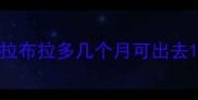 拉布拉多几个月可出去