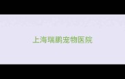 上海瑞鹏宠物医院