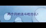 两个月的法斗吃什么