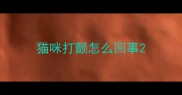 猫咪打颤怎么回事