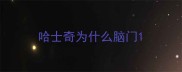 哈士奇为什么脑门