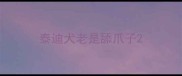泰迪犬老是舔爪子