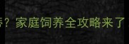 选边牧还是喜乐蒂家庭饲养全攻略来了新手必看对比分析
