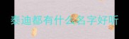 泰迪都有什么名字好听