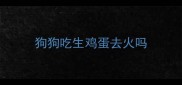 狗狗吃生鸡蛋去火吗
