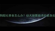3个月小狗呕吐禁食怎么办幼犬肠胃崩溃的紧急处理指南