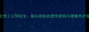 哈士奇三火特征全额头斑纹的遗传密码与健康养护指南