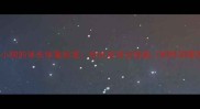 两个月大小狗的体长体重标准幼犬发育全指南附科学喂养方案