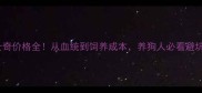 哈士奇价格全从血统到饲养成本养狗人必看避坑指南