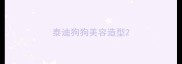 泰迪狗狗美容造型