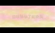 边牧怀孕了能驱虫