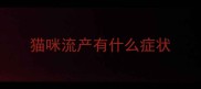 猫咪流产有什么症状
