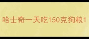 哈士奇一天吃150克狗粮