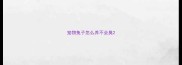 宠物兔子怎么养不会臭