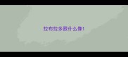 拉布拉多跟什么像