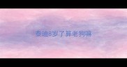 泰迪8岁了算老狗嘛