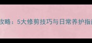 金毛犬毛发护理全攻略5大修剪技巧与日常养护指南附专业图解
