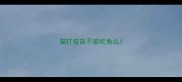猫打疫苗不能吃鱼么