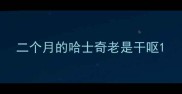 二个月的哈士奇老是干呕