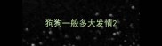 狗狗一般多大发情