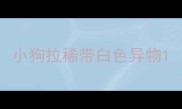 小狗拉稀带白色异物