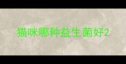 猫咪哪种益生菌好