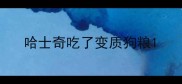 哈士奇吃了变质狗粮