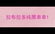 拉布拉多纯黑串串
