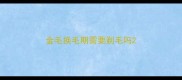 金毛换毛期需要剃毛吗