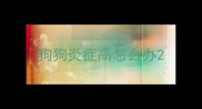 狗狗炎症高怎么办